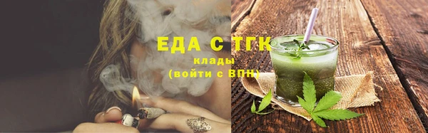 гидра Абаза