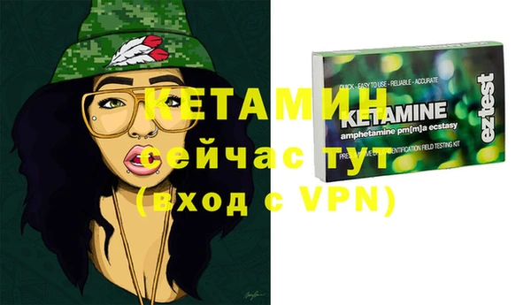 гидра Абаза