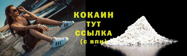 гидра Абаза