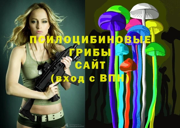 гидра Абаза