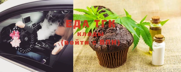 гидра Абаза